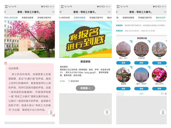 k8凯发举办“寻找工大的春天”摄影比赛